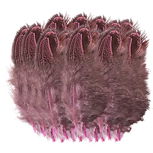 Uposao 100 Stück Fasan Federn, 5-8cm Natürliche Hühnerfeder Türkei Feder zum Basteln Dekorationen für Kostüm,Taschen,Ohrringe Dekoration,DIY Dream Catcher,Hochzeitsfest Home Party Dekoration,Rosa Uposao 100 Stück Fasan Federn, 5-8cm Natürliche Hühnerfeder Türkei Feder zum Basteln Dekorationen für Kostüm,Taschen,Ohrringe Dekoration,DIY Dream Catcher,Hochzeitsfest Home Party Dekoration,Rosa von Uposao