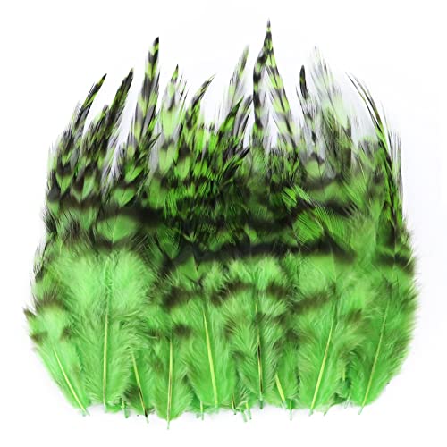 Uposao 100 Stück Fasan Federn, 8-19cm Natürliche Hühnerfeder Türkei Feder zum Basteln Dekorationen für Kostüm,Taschen,Ohrringe Dekoration,DIY Dream Catcher,Hochzeitsfest Home Party Dekoration,Grün Uposao 100 Stück Fasan Federn, 8-19cm Natürliche Hühnerfeder Türkei Feder zum Basteln Dekorationen für Kostüm,Taschen,Ohrringe Dekoration,DIY Dream Catcher,Hochzeitsfest Home Party Dekoration,Grün von Uposao