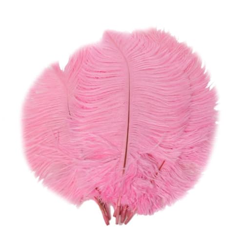 2 Stück Natürliche Straußenfedern,20-25cm Federn Zum Basteln Bastelfedern Strauß Feder Dekofedern DIY Basteln Zubehör für Hochzeitsdekoration Party Tischdekoration Zuhause Dekor,Rosa 2 Stück Natürliche Straußenfedern,20-25cm Federn Zum Basteln Bastelfedern Strauß Feder Dekofedern DIY Basteln Zubehör für Hochzeitsdekoration Party Tischdekoration Zuhause Dekor,Rosa von Uposao