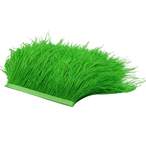 Uposao 2M Natürliche Straußenfedern Fringe Trim,Straußenfeder Borte Fransen mit Satinband für DIY Tuch Kleid nähen Handwerk Weihnachten kostüme Dekoration Halloween Federband Bastelzubehör,Grün Uposao 2M Natürliche Straußenfedern Fringe Trim,Straußenfeder Borte Fransen mit Satinband für DIY Tuch Kleid nähen Handwerk Weihnachten kostüme Dekoration Halloween Federband Bastelzubehör,Grün von Uposao