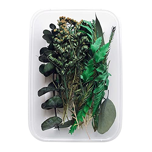Uposao Natürliche Getrocknete Blumen, DIY Gepresste Blumen Gemischte Getrocknete Blätter Blumen Set für Epoxidharz Deko,Kunst Basteln DIY Harz Scrapbooking Handwerk Karten Machen Zimmer Tischdeko Uposao Natürliche Getrocknete Blumen, DIY Gepresste Blumen Gemischte Getrocknete Blätter Blumen Set für Epoxidharz Deko,Kunst Basteln DIY Harz Scrapbooking Handwerk Karten Machen Zimmer Tischdeko von Uposao