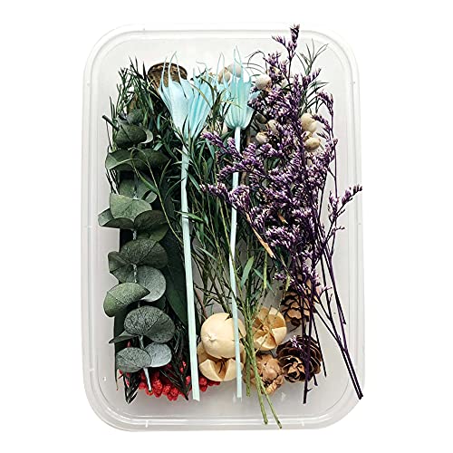 Uposao Natürliche Getrocknete Blumen, DIY Gepresste Blumen Gemischte Getrocknete Blätter Blumen Set für Epoxidharz Deko,Kunst Basteln DIY Harz Scrapbooking Handwerk Karten Machen Zimmer Tischdeko Uposao Natürliche Getrocknete Blumen, DIY Gepresste Blumen Gemischte Getrocknete Blätter Blumen Set für Epoxidharz Deko,Kunst Basteln DIY Harz Scrapbooking Handwerk Karten Machen Zimmer Tischdeko von Uposao
