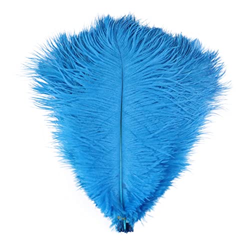 Uposao Straußenfedern,10 Stück 25-30cm Schöne Natürliche Strauß Feder Plume zum Basteln Federn Dekorationen Für Haus Hochzeitsdekoration bietet Hochzeit Mittelstücke Dekoration Handwerk Party,Blau Uposao Straußenfedern,10 Stück 25-30cm Schöne Natürliche Strauß Feder Plume zum Basteln Federn Dekorationen Für Haus Hochzeitsdekoration bietet Hochzeit Mittelstücke Dekoration Handwerk Party,Blau von Uposao