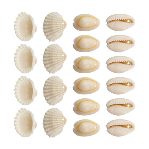 Uqezagpa 1 Set natürliche Muschelperlen mit Loch, Strandmuscheln, Bastelzubehör für Schmuckherstellung und Bastelarbeiten von Uqezagpa