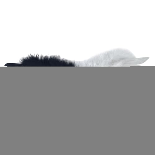 Uqezagpa Praktisches Kinderornament Multifunktionaler gefiederter Flügel mit Komfortbändern für Partys und Versammlungen Flügel Ornament Uqezagpa Praktisches Kinderornament Multifunktionaler gefiederter Flügel mit Komfortbändern für Partys und Versammlungen Flügel Ornament von Uqezagpa