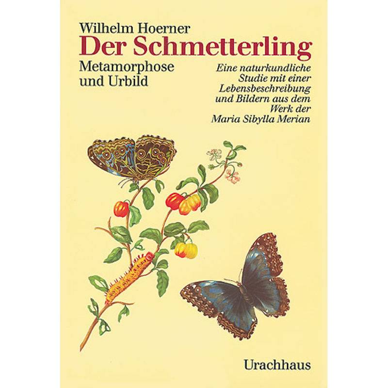 Der Schmetterling - Wilhelm Hoerner, Leinen von Urachhaus