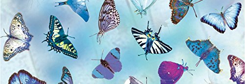 Transparentpapier "Schmetterlinge blau" 5 Blatt, 115g/qm DIN A4 von Ursus
