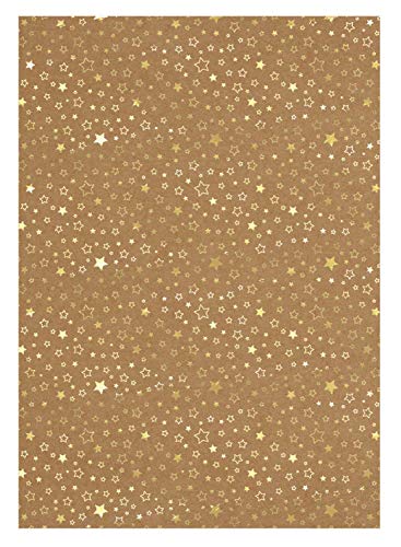 Ursus 62264604F - Designkarton Weihnachten, goldene Sterne, DIN A4, 25 Blatt, 250 g/qm, einseitig folienveredelt, ideal für weihnachtliche Kartengestaltung und kreatives Basteln Ursus 62264604F - Designkarton Weihnachten, goldene Sterne, DIN A4, 25 Blatt, 250 g/qm, einseitig folienveredelt, ideal für weihnachtliche Kartengestaltung und kreatives Basteln von Ursus