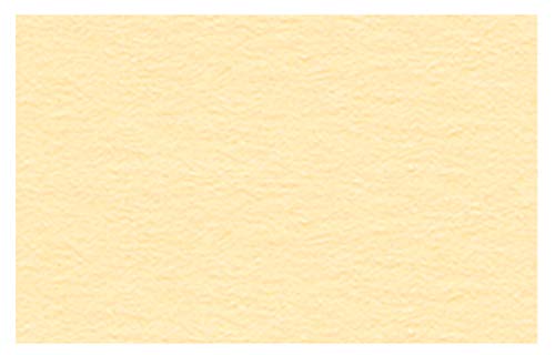 Ursus 2174610 - Tonzeichenpapier chamois, DIN A4, 130 g/qm, 100 Blatt, durchgefärbt, hohe Farbbrillanz und Lichtbeständigkeit, aus Frischzellulose, ideale Grundlage für zahlreiche Bastelarbeiten von Ursus