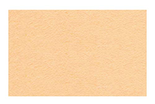 Ursus 2174616 - Tonzeichenpapier apricose, DIN A4, 130 g/qm, 100 Blatt, durchgefärbt, hohe Farbbrillanz und Lichtbeständigkeit, aus Frischzellulose, ideale Grundlage für zahlreiche Bastelarbeiten Ursus 2174616 - Tonzeichenpapier apricose, DIN A4, 130 g/qm, 100 Blatt, durchgefärbt, hohe Farbbrillanz und Lichtbeständigkeit, aus Frischzellulose, ideale Grundlage für zahlreiche Bastelarbeiten von Ursus