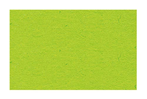 Ursus 2174651 - Tonzeichenpapier hellgrün, DIN A4, 130 g/qm, 100 Blatt, durchgefärbt, hohe Farbbrillanz und Lichtbeständigkeit, aus Frischzellulose, ideale Grundlage für zahlreiche Bastelarbeiten Ursus 2174651 - Tonzeichenpapier hellgrün, DIN A4, 130 g/qm, 100 Blatt, durchgefärbt, hohe Farbbrillanz und Lichtbeständigkeit, aus Frischzellulose, ideale Grundlage für zahlreiche Bastelarbeiten von Ursus