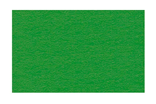 Ursus 2174653 - Tonzeichenpapier lindgrün, DIN A4, 130 g/qm, 100 Blatt, durchgefärbt, hohe Farbbrillanz und Lichtbeständigkeit, aus Frischzellulose, ideale Grundlage für zahlreiche Bastelarbeiten Ursus 2174653 - Tonzeichenpapier lindgrün, DIN A4, 130 g/qm, 100 Blatt, durchgefärbt, hohe Farbbrillanz und Lichtbeständigkeit, aus Frischzellulose, ideale Grundlage für zahlreiche Bastelarbeiten von Ursus