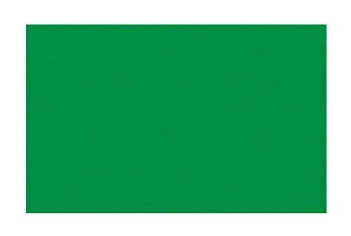 Ursus 2174659 - Tonzeichenpapier tannengrün, DIN A4, 130 g/qm, 100 Blatt, durchgefärbt, hohe Farbbrillanz und Lichtbeständigkeit, aus Frischzellulose, ideale Grundlage für zahlreiche Bastelarbeiten von Ursus