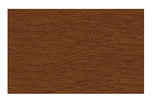 Ursus 2174672 - Tonzeichenpapier mittelbraun, DIN A4, 130 g/qm, 100 Blatt, durchgefärbt, hohe Farbbrillanz und Lichtbeständigkeit, aus Frischzellulose, ideale Grundlage für zahlreiche Bastelarbeiten Ursus 2174672 - Tonzeichenpapier mittelbraun, DIN A4, 130 g/qm, 100 Blatt, durchgefärbt, hohe Farbbrillanz und Lichtbeständigkeit, aus Frischzellulose, ideale Grundlage für zahlreiche Bastelarbeiten von Ursus