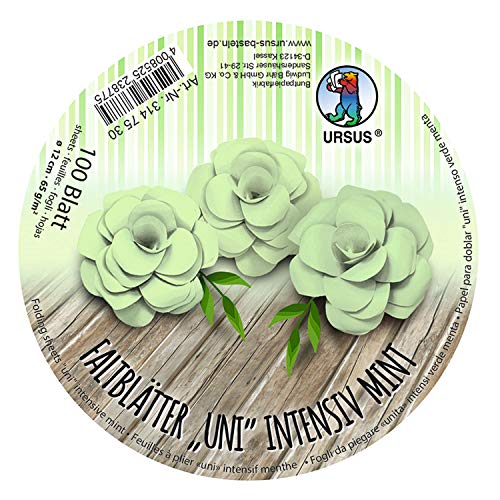 Ursus 3147530 - Faltblätter Rund Uni intensiv, mint, 100 Blatt, aus Plakatpapier, 65 g/qm, Durchmesser ca. 12 cm, durchgefärbt, ideal zum Falten von Papierblüten und blumen Ursus 3147530 - Faltblätter Rund Uni intensiv, mint, 100 Blatt, aus Plakatpapier, 65 g/qm, Durchmesser ca. 12 cm, durchgefärbt, ideal zum Falten von Papierblüten und blumen von Ursus