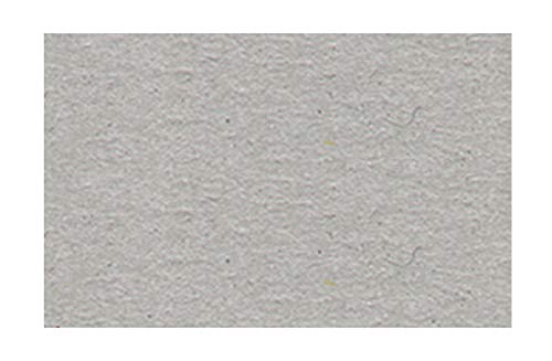 Ursus 3774684 - Fotokarton kieselgrau, DIN A4, 300 g/qm, 50 Blatt, durchgefärbt, hohe Farbbrillanz und Lichtbeständigkeit, aus frischzellulose, ideale Grundlage für kreative Bastelarbeiten von Ursus