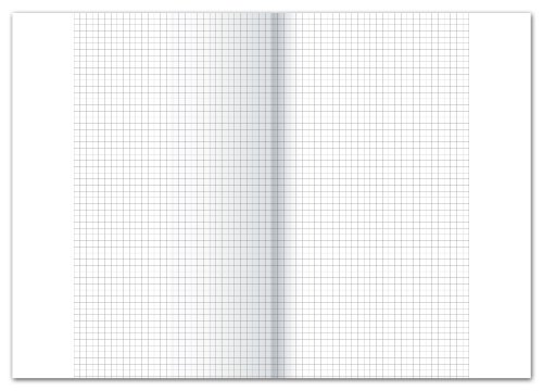 Ursus 608471000 Kanzleipapier gefalzt A3 auf A4, kariert mit Rand, 250 BG, 70 g/qm, 5 mm von Ursus