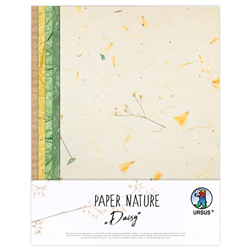 Ursus 61620002 - Naturpapiere Daisy, 10 Blatt, 23 x 33 cm, mit Graspapier und Strohseide, für kreative Bastelarbeiten Ursus 61620002 - Naturpapiere Daisy, 10 Blatt, 23 x 33 cm, mit Graspapier und Strohseide, für kreative Bastelarbeiten von Ursus