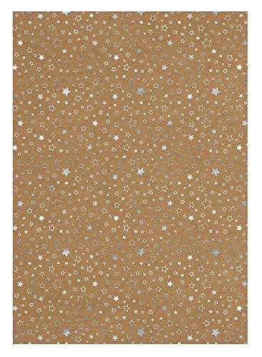 Ursus 62264605F - Designkarton Weihnachten, silberne Sterne, DIN A4, 25 Blatt, 250 g/qm, einseitig folienveredelt, ideal für weihnachtliche Kartengestaltung und kreatives Basteln Ursus 62264605F - Designkarton Weihnachten, silberne Sterne, DIN A4, 25 Blatt, 250 g/qm, einseitig folienveredelt, ideal für weihnachtliche Kartengestaltung und kreatives Basteln von Ursus