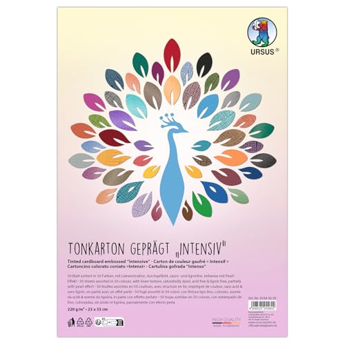 Ursus 81840099 - Tonkarton geprägt Intensiv, 50 Blatt in 50 Farben, geprägter Karton mit Leinenstruktur 220 g/m², Größe 23 x 33 cm, durchgefärbt, teilweise mit Pearl-Effekt veredelt von Ursus