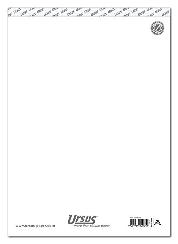 Ursus Basic 60845100 Notizblock A4 48 Blatt 60g/qm blanko von Ursus