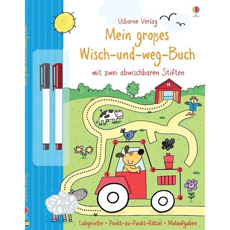 Mein Großes Wisch-Und-Weg-Buch - Sam Taplin, Kartoniert (TB) von Usborne Verlag