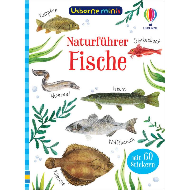 Usborne Minis Naturführer: Fische - Kate Nolan, Kartoniert (TB) von Usborne Verlag