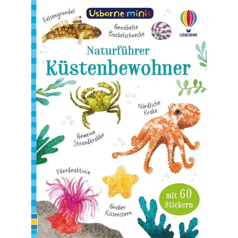 Usborne Minis Naturführer: Küstenbewohner, Kartoniert (TB) von Usborne Verlag