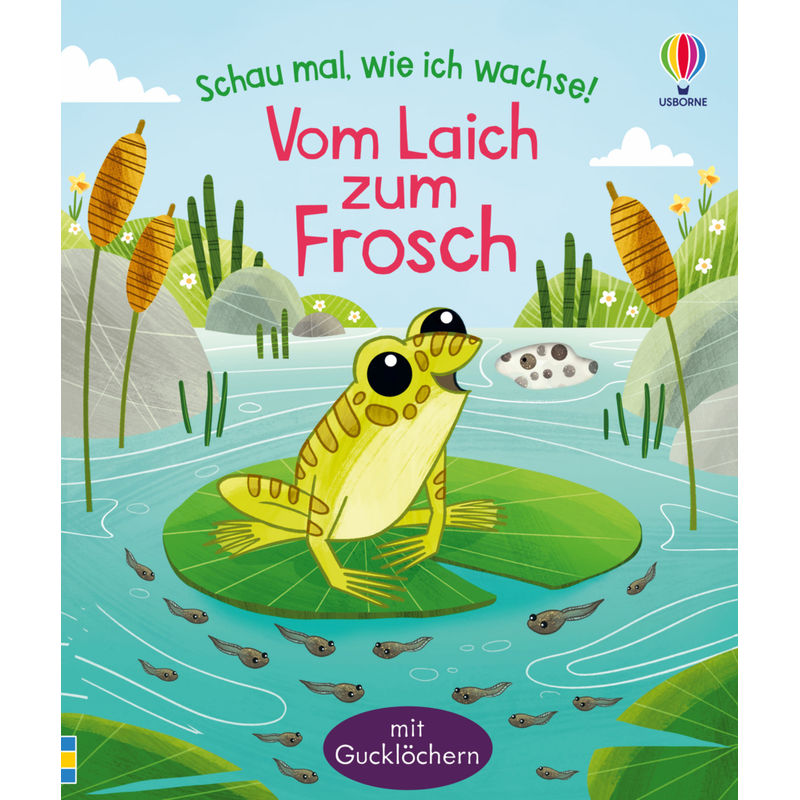 Vom Laich Zum Frosch / Schau Mal, Wie Ich Wachse! Bd.1 - Lesley Sims, Gebunden von Usborne Verlag