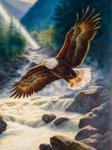 VAIIEYO 5D DIY 5D Diamond Painting Erwachsene Adler, Diamant Painting Bilder Malerei Kits Tier, Malen Nach Zahlen Diamant Home Wand Decor Gemälde Kreuzstich Diamond Dekoration 30x40 cm VAIIEYO 5D DIY 5D Diamond Painting Erwachsene Adler, Diamant Painting Bilder Malerei Kits Tier, Malen Nach Zahlen Diamant Home Wand Decor Gemälde Kreuzstich Diamond Dekoration 30x40 cm von VAIIEYO