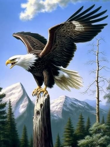 VAIIEYO 5D DIY 5D Diamond Painting Erwachsene Adler, Diamant Painting Bilder Malerei Kits Tier, Malen Nach Zahlen Diamant Home Wand Decor Gemälde Kreuzstich Diamond Dekoration 30x40 cm VAIIEYO 5D DIY 5D Diamond Painting Erwachsene Adler, Diamant Painting Bilder Malerei Kits Tier, Malen Nach Zahlen Diamant Home Wand Decor Gemälde Kreuzstich Diamond Dekoration 30x40 cm von VAIIEYO