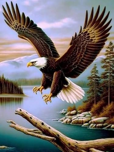VAIIEYO 5D DIY 5D Diamond Painting Erwachsene Adler, Diamant Painting Bilder Malerei Kits Tier, Malen Nach Zahlen Diamant Home Wand Decor Gemälde Kreuzstich Diamond Dekoration 30x40 cm VAIIEYO 5D DIY 5D Diamond Painting Erwachsene Adler, Diamant Painting Bilder Malerei Kits Tier, Malen Nach Zahlen Diamant Home Wand Decor Gemälde Kreuzstich Diamond Dekoration 30x40 cm von VAIIEYO