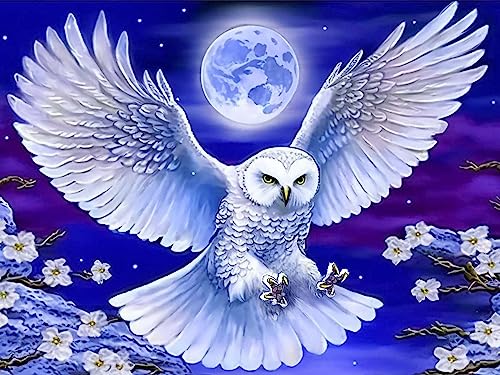 VAIIEYO 5D DIY 5D Diamond Painting Erwachsene Eule, Diamant Painting Bilder Malerei Kits Tier, Malen Nach Zahlen Diamant Home Wand Decor Gemälde Kreuzstich Diamond Dekoration 30x40 cm-13 VAIIEYO 5D DIY 5D Diamond Painting Erwachsene Eule, Diamant Painting Bilder Malerei Kits Tier, Malen Nach Zahlen Diamant Home Wand Decor Gemälde Kreuzstich Diamond Dekoration 30x40 cm-13 von VAIIEYO