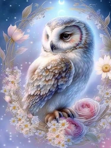 VAIIEYO 5D DIY 5D Diamond Painting Erwachsene Eule, Diamant Painting Bilder Malerei Kits Tier, Malen Nach Zahlen Diamant Home Wand Decor Gemälde Kreuzstich Diamond Dekoration 30x40 cm VAIIEYO 5D DIY 5D Diamond Painting Erwachsene Eule, Diamant Painting Bilder Malerei Kits Tier, Malen Nach Zahlen Diamant Home Wand Decor Gemälde Kreuzstich Diamond Dekoration 30x40 cm von VAIIEYO