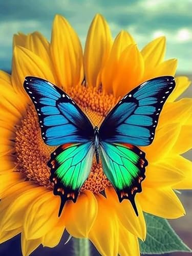 VAIIEYO 5D DIY 5D Diamond Painting Sonnenblume, Diamant Painting Bilder Malerei Kits Blume, Malen Nach Zahlen Diamant Home Wand Decor Gemälde Kreuzstich Diamond Dekoration 30x40 cm-1 VAIIEYO 5D DIY 5D Diamond Painting Sonnenblume, Diamant Painting Bilder Malerei Kits Blume, Malen Nach Zahlen Diamant Home Wand Decor Gemälde Kreuzstich Diamond Dekoration 30x40 cm-1 von VAIIEYO