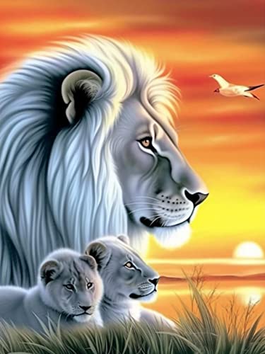 VAIIEYO DIY 5D Diamond Painting Löwe, Diamant Painting Bilder Malerei Kits Tier, Malen Nach Zahlen Diamant Home Wand Decor Gemälde Kreuzstich Diamond Dekoration 30x40 cm VAIIEYO DIY 5D Diamond Painting Löwe, Diamant Painting Bilder Malerei Kits Tier, Malen Nach Zahlen Diamant Home Wand Decor Gemälde Kreuzstich Diamond Dekoration 30x40 cm von VAIIEYO