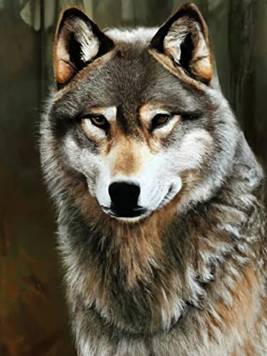 VAIIEYO DIY 5D Diamond Painting Wolf, Diamant Painting Bilder Malerei Kits Tier, Malen Nach Zahlen Diamant Home Wand Decor Gemälde Kreuzstich Diamond Dekoration 30x40 cm VAIIEYO DIY 5D Diamond Painting Wolf, Diamant Painting Bilder Malerei Kits Tier, Malen Nach Zahlen Diamant Home Wand Decor Gemälde Kreuzstich Diamond Dekoration 30x40 cm von VAIIEYO