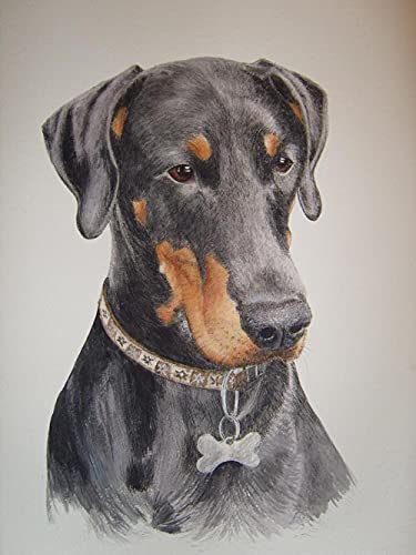 Diamant Painting Kinder 5D Diamond Painting Kits, Dobermann Hund DIY Malen Nach Zahlen Erwachsene Diamant Malerei Geburtstagsgeschenke30*40CM Diamant Painting Kinder 5D Diamond Painting Kits, Dobermann Hund DIY Malen Nach Zahlen Erwachsene Diamant Malerei Geburtstagsgeschenke30*40CM von VAKUUM