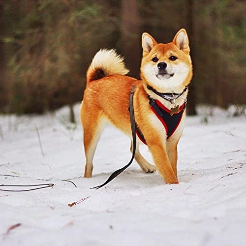 VAKUUM Diamant Painting Kinder 5D Diamond Painting Kits, Shiba Inu Hund DIY Malen Nach Zahlen Erwachsene Diamant Malerei Geburtstagsgeschenke40*50cm VAKUUM Diamant Painting Kinder 5D Diamond Painting Kits, Shiba Inu Hund DIY Malen Nach Zahlen Erwachsene Diamant Malerei Geburtstagsgeschenke40*50cm von VAKUUM