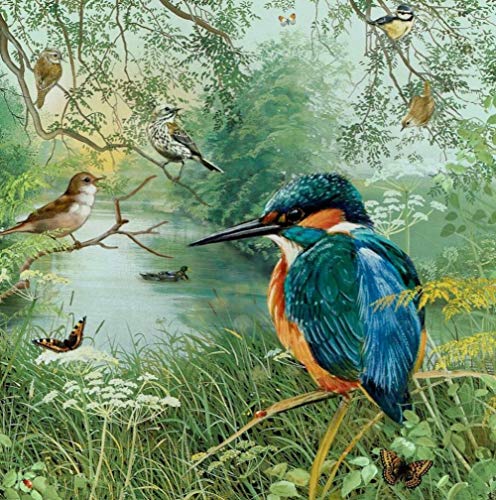 Diamant Painting Kinder 5D Diamond Painting Kits Eisvogel DIY Malen Nach Zahlen Erwachsene Diamant Malerei Geburtstagsgeschenke30*40CM Diamant Painting Kinder 5D Diamond Painting Kits Eisvogel DIY Malen Nach Zahlen Erwachsene Diamant Malerei Geburtstagsgeschenke30*40CM von VAKUUM