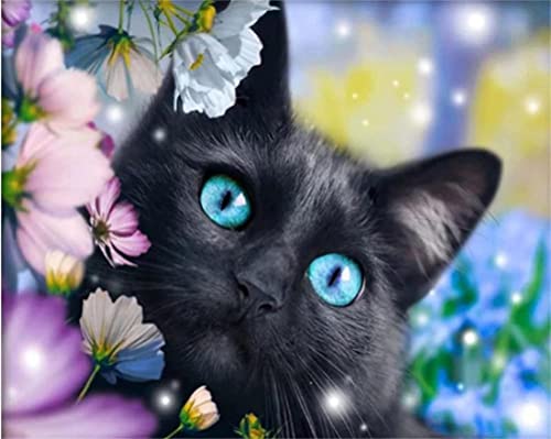VAKUUM Malen Nach Zahlen Für Erwachsene Und Kinder Anfänger Schwarze Katze Mit Blumen Und Tieren Malen Nach Zahlen Kits Auf Leinwand Diy Ölgemälde Home Wall Decor Kindergeschenke 40 * 50CM VAKUUM Malen Nach Zahlen Für Erwachsene Und Kinder Anfänger Schwarze Katze Mit Blumen Und Tieren Malen Nach Zahlen Kits Auf Leinwand Diy Ölgemälde Home Wall Decor Kindergeschenke 40 * 50CM von VAKUUM