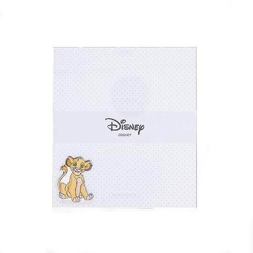 Valenti&Co – Disney Baby – König der Löwen Simba – Bilderrahmen aus Plexiglas mit silberfarbenen Applikationen in 3D-Farben, ideal als Dekoration für Kinderzimmer (20 x 18 cm) von VALENTI & CO.