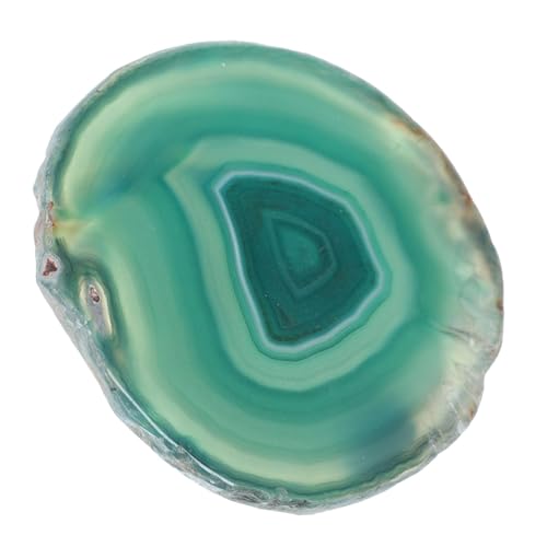 VALICLUD Natürliche Grüne Maniküre Hochwertigem Material Nagellack Mischpalette für Nageldesign Langlebiges Nail Art Tray Zubehör für Einfache Farbvermischung VALICLUD Natürliche Grüne Maniküre Hochwertigem Material Nagellack Mischpalette für Nageldesign Langlebiges Nail Art Tray Zubehör für Einfache Farbvermischung von VALICLUD