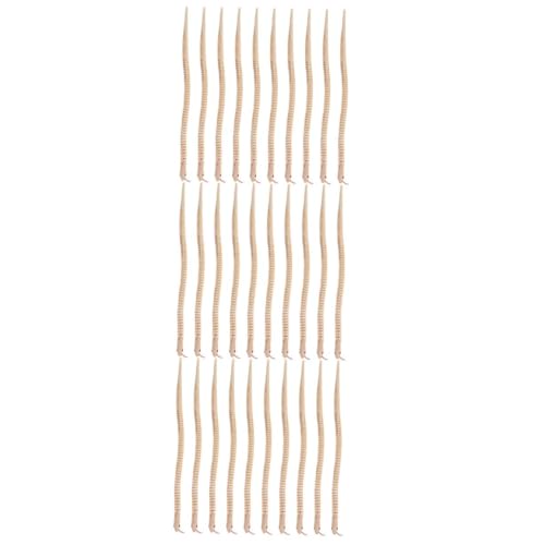 VANZACK 30 Stck. Teiliges Unvollendete Holzschlangen Flexible Wackelschlange DIY Holzspielzeug Naturbelassene Holzfigur Realistische Schlange Geeignet als Geburtstagsmitbringsel und von VANZACK