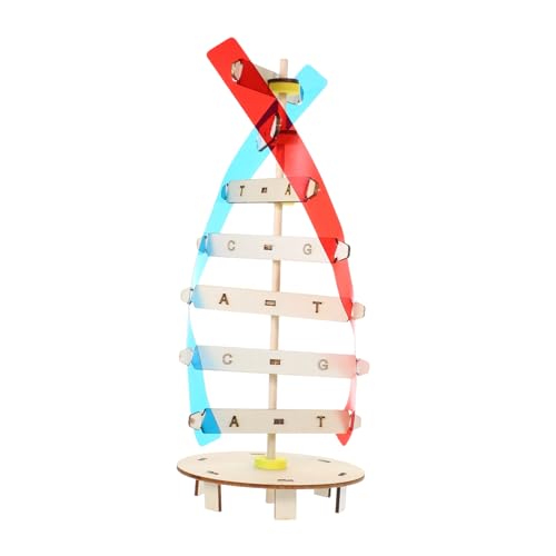 VANZACK DIY Holz DNA Modell Doppelhelix zum Selbstmontieren Biologisches Lernspielzeug für Schüler Sicherer Holzbausatz zur Naturwissenschaftlicher Bildung und Klassenzimmerdekoration VANZACK DIY Holz DNA Modell Doppelhelix zum Selbstmontieren Biologisches Lernspielzeug für Schüler Sicherer Holzbausatz zur Naturwissenschaftlicher Bildung und Klassenzimmerdekoration von VANZACK