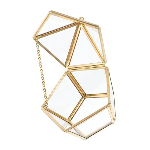 VANZACK Schmuckschatulle Staubdichte Aufbewahrungsbox für Ohrringe für Zuhause Schlafzimmer Reisen Perfektes zur Hochzeit VANZACK Schmuckschatulle Staubdichte Aufbewahrungsbox für Ohrringe für Zuhause Schlafzimmer Reisen Perfektes zur Hochzeit von VANZACK