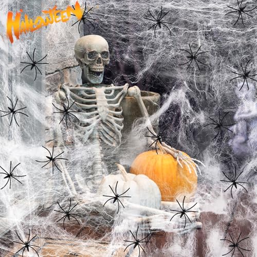 VASIN Halloween Spinnennetz Dekorationen, 300g Elastischer Spinnennetz 80 Realistisch Spinnen Halloween Deko, 1600 m² Spinnennetz deko Set Großes spinnenweben für Halloween Party Draußen und Drinnen VASIN Halloween Spinnennetz Dekorationen, 300g Elastischer Spinnennetz 80 Realistisch Spinnen Halloween Deko, 1600 m² Spinnennetz deko Set Großes spinnenweben für Halloween Party Draußen und Drinnen von VASIN