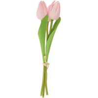 VBS Tulpe "Tammie" - Rosa von Pink