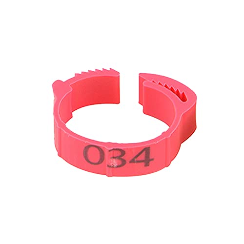 Hühnerbein Ringe， 100Pcs Huhn Fuß Ring Einstellbare Größe Geflügel Bein Digitale Label Schnalle Ring(Pink) von VDCVADKYE