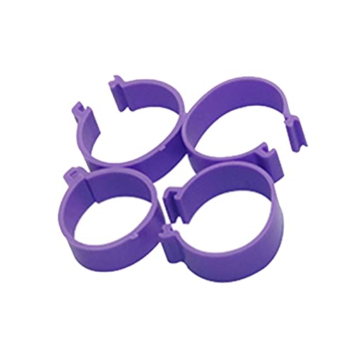 Hühnerbein Ringe， 60 Stück 2,5 cm Hühnerfußringe Clipring Wachtelfußringe(Purple) von VDCVADKYE